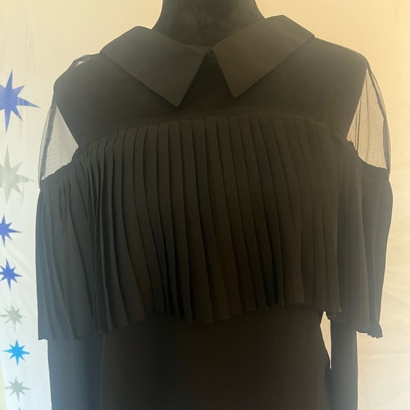Women’s size medium, long sleeve, sheer and pleated blouse. - Picture 1 of 7
